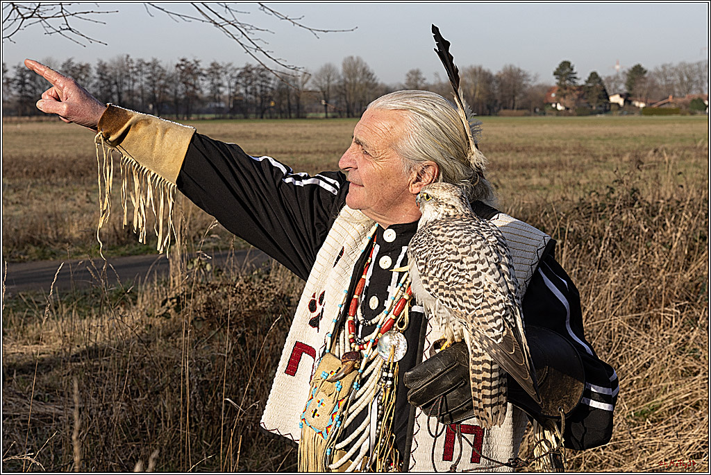 Cheyenne-Halbblut Hunting Wolf in der Falknerei Pierre Schmidt; Gymnich, 09.02.2023